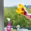 Purškiamas langų ir stiklo valiklis su actu The Pink Stuff, 750 ml