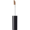 theSaem Saem Cover Perfection Tip Maskuoklis veido korektorius 6 g smėlio (2)