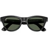 Nezatříděno RayBan Meta Skyler G15 Žalias