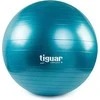 Gimnastikos kamuolys TIGUAR Safety Plus, 75cm