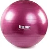 Gimnastikos kamuolys TIGUAR Safety Plus, 65cm