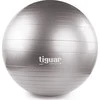 Gimnastikos kamuolys TIGUAR Safety Plus, 65cm