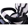 Tiny Bike 3in1 triratukas su skydeliu SP0650