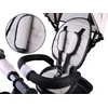 Tiny Bike 3in1 triratukas su skydeliu SP0650