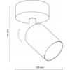 Lubinis šviestuvas Tk_Lighting Šviestuvas sieninis TK Lighting Top 5739, 10 W, GU10