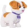 TM Toys TMT PuppyLuv interaktyvus šuo Dexteris DKO8278 01920