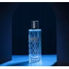 Diane Castel Oratorio EDP parfumuotas vanduo vyrams, 100 ml