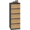 Top E Shop Topeshop W5 ANT/ART KPL chest of drawers