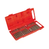 Antgalių rinkinys TOP TOOLS 40 vnt. (Spline, Torx, šešiakampiai)