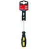 Plokščias atsuktuvas Top Tools 39D643, 6x100 mm