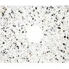 DEKTON LAURENT WORKTOP 61X46X1.2