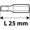 Koncówki Antgalių rinkinys Topex PH2x25mm, 10 vnt