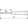 Wkrętak Torx T5 x 50 mm tikslus atsuktuvas