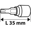 Torx Antgalių Rinkinys TOPEX 39D378 (7 vnt., T10-T40, 1/4"