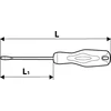 Topex Torx atsuktuvas T20x100mm - 39D844