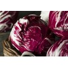 Toraf sėklos, cikorijų salotos, Palla Rosa, 3,5 g