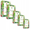 Toraf TORAF Rinkinys NASION - SET 4X5 2024 TORAF 60X1SZT
