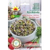Toraf Ridikėlių daiginimo sėklos 20g TORAF