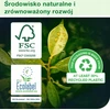 Tork – Pietų servetėlės, viensluoksnės – universalios