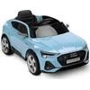 Toyz GELEŽINKELIŲ AUDITŲ EKRONINIŲ SPORTBAKINIŲ MĖLYNŲJŲ AUGALŲ TRANSPORTO PRIEMONĖ