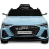Toyz GELEŽINKELIŲ AUDITŲ EKRONINIŲ SPORTBAKINIŲ MĖLYNŲJŲ AUGALŲ TRANSPORTO PRIEMONĖ