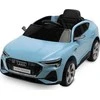 Toyz GELEŽINKELIŲ AUDITŲ EKRONINIŲ SPORTBAKINIŲ MĖLYNŲJŲ AUGALŲ TRANSPORTO PRIEMONĖ