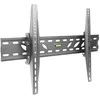 Laikiklis TRACER TRAUCH42524 Tracer Wall 660 LCD
