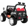Ramiz Elektromobilis Raptor Drifter, Juodas