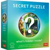 Dėlionė 1000 Premium Plus - Secret Sanctum - Trefl 12104