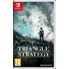 Trikampio strategija – Nintendo Switch