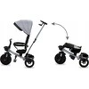 Triratukas Kidwell AXEL Titanium Pilkas