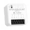 Triton 2 kanalų relinis modulis RFSAI-62B-SL/MT