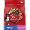 Purina Nestle ONE Medium/Maxi Adult Dog ėriena & ryžiai 2,5kg