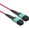 Triton VALUE MPO magistralinis kabelis 50/125m OM4, MPO/MPO, šviesolaidinis, 3 m