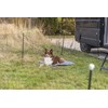 Trixie 39539, Safety net, Dog, Outdoor, Juodas, Iron, Plastic, Metal, Nylon, Powder coating