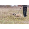 Trixie Aukščiausios kokybės „FlexMesh“ šunų petnešos, juodos, M: 58–80 cm / 20 mm, tinka mopsams ir buldogams