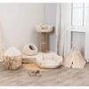 Trixie draskyklė katei Boho 83 cm, smėlio spalva