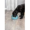 Trixie Ceramic bowl, šunims, mėlyna, 0,4 l / 13 cm