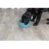 Trixie Ceramic bowl, šunims, mėlyna, 0,4 l / 13 cm