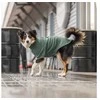 Trixie CityStyle Amsterdam sweatshirt, M: 50 cm, dark žalias
