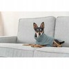 Trixie Trixie CityStyle Berlin pullover, L: 60 cm, sage