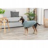 Pelė Trixie CityStyle Berlin megztinis, M: 45 cm, šalavijų spalvos