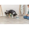 Trixie Dog Activity Buzzer, žaislas edukacyjna, šuniui, plasik, 14 � 9,5 cm