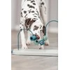 Trixie Dog Activity Skills Loop, žaislas edukacyjna, šuniui, plasik/metal, 43 cm