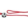 Trixie GUM Ball ON LINK 6cm / 1m