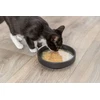 Trixie Kittis lašiša Soup przysmak zupy, katei, vištiena i lašiša, 4 × 80 g, 4 vnt/pakuotė