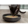 Trixie Kittis Shrimp Soup przysmak zupy, katei, vištiena i krewetki, 4 × 80 g, 4vnt./pakuotė