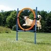 TRIXIE Agility žiedas, 115x3 cm, plastikas, 3208