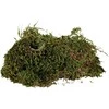 Trixie Moss, substratas drėgniems terariumams, 200 g