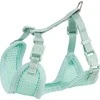 Trixie Minkštos petnešos šuniukams su jaunėliu pavadėliu, 26-34 cm / 10 mm, 2.00 m, mėtų spalva